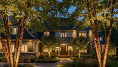 Dramatic tree uplighting design highlighting mature trees at night by Chop Chop Landscaping in Waltham, MA