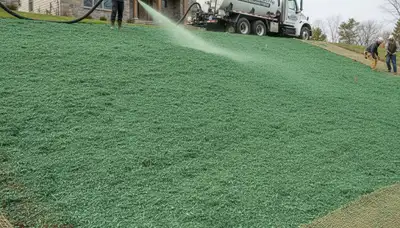 Professional hydroseeding erosion control on hillside slope in Waltham, MA landscaping project